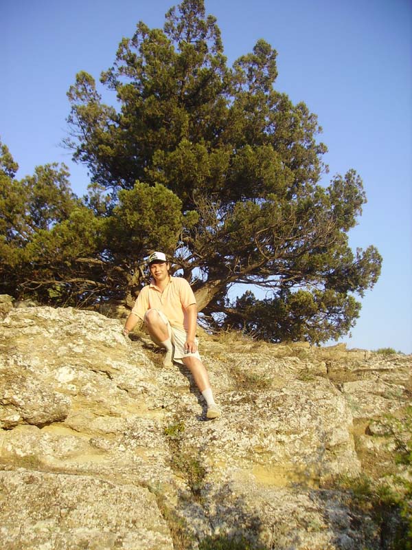   , 30  - 12  2007 